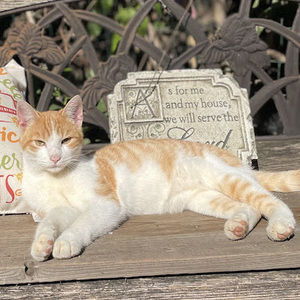 Meet your Posher, Jessalyn